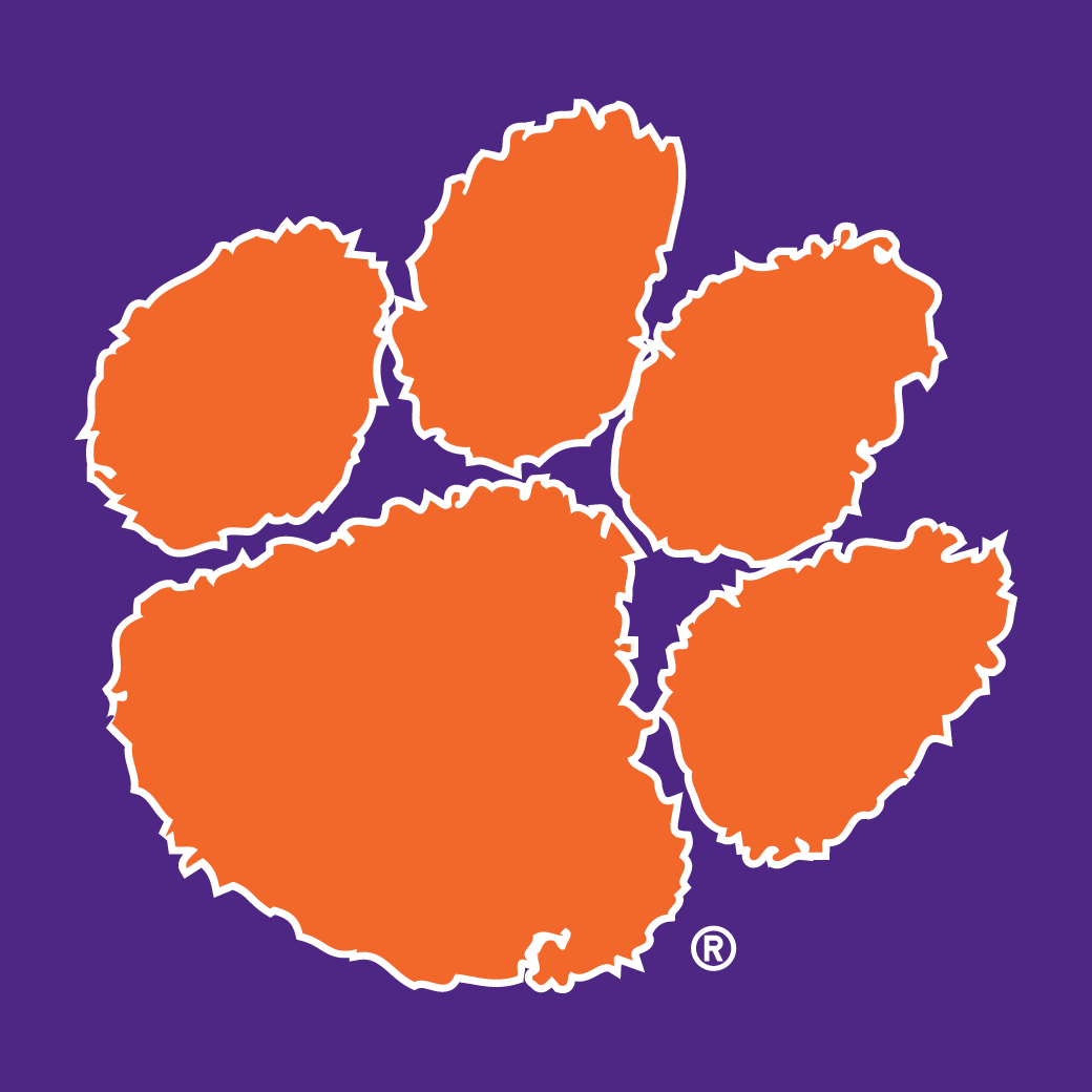 Clemson Tigers 1977-Pres Secondary Logo 04 iron on paper